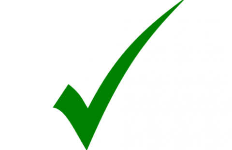 Green check mark indicating a valid email