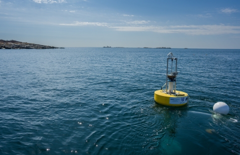 A yellow buoy on the ocean